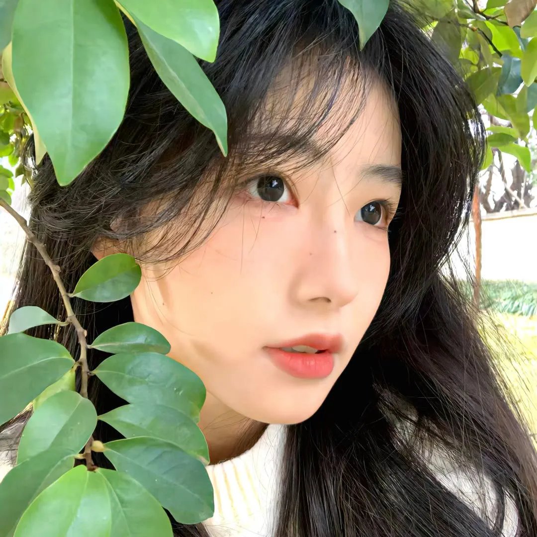 嘘，国王在冬眠