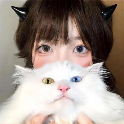 说走就走之不说再见